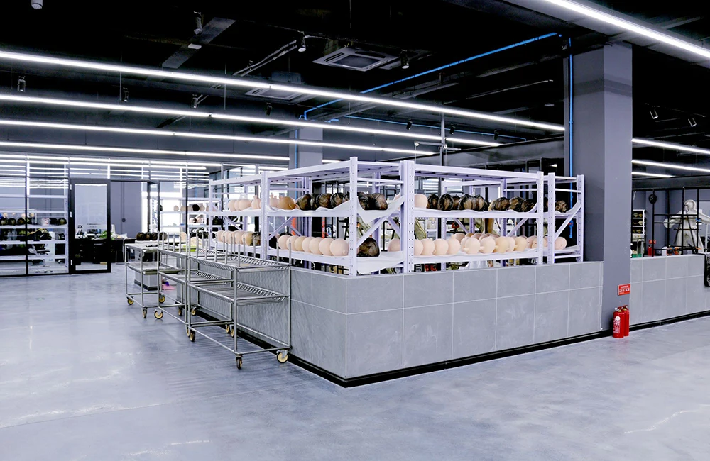 EXDOLL factory